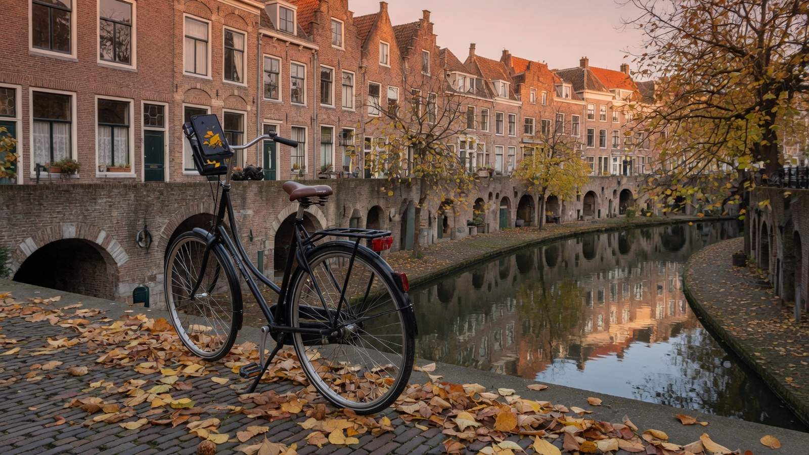 legale online casino nederland houdt e-wallettijden apart van kaarttijden.